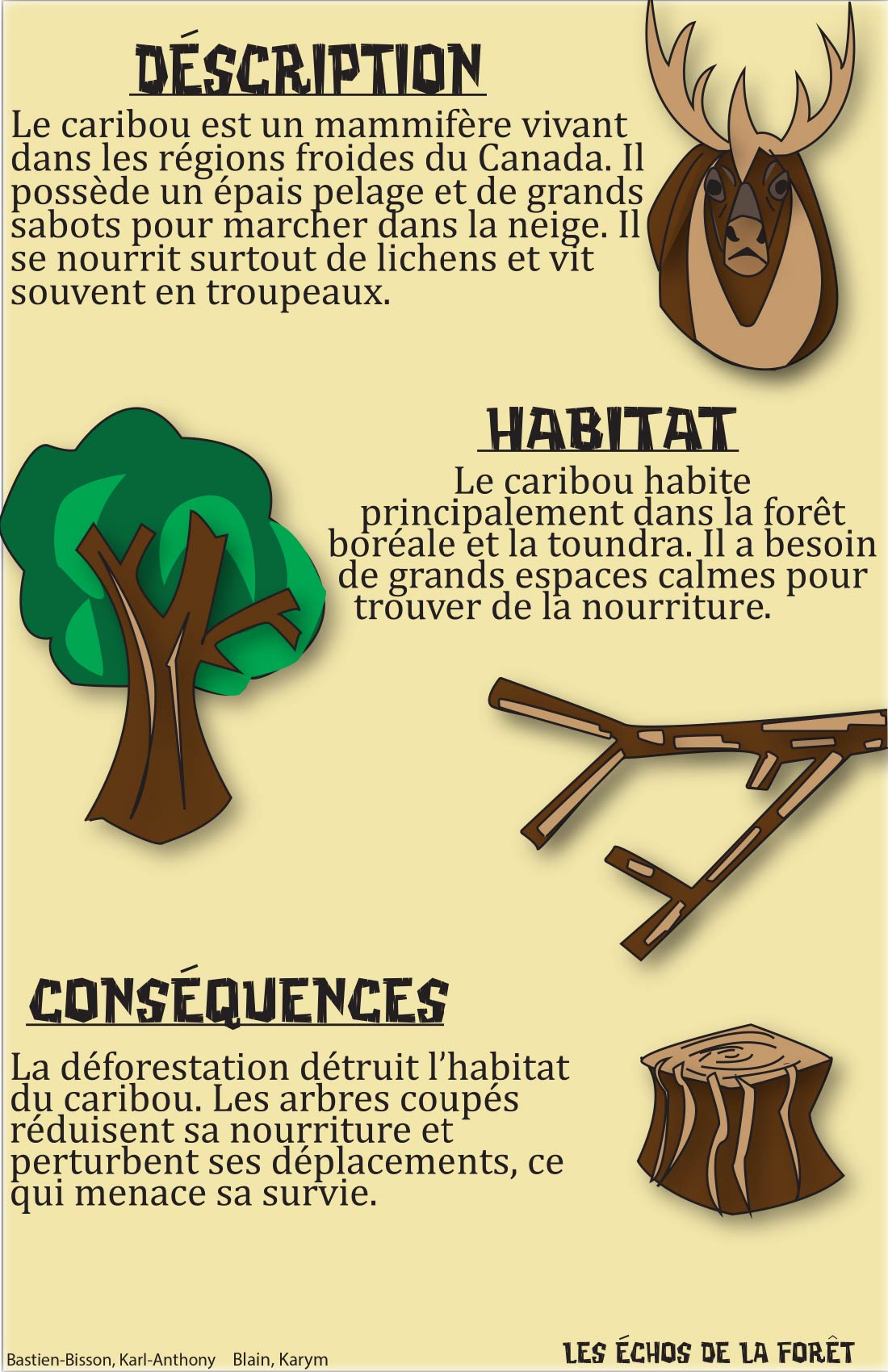 Les échos de la forêt